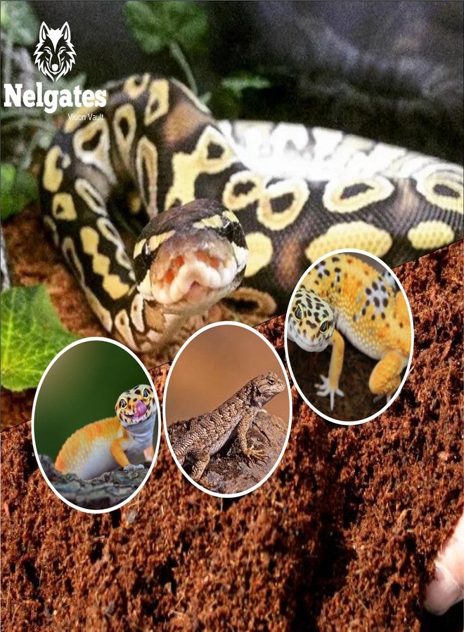 Nelgates Reptile Bedding 650g Organic Coco peat Block for Snake Habitat, Lizards, Ball Python Terrarium, Turtle Tanks, Tortoise Enclosure - Image 2